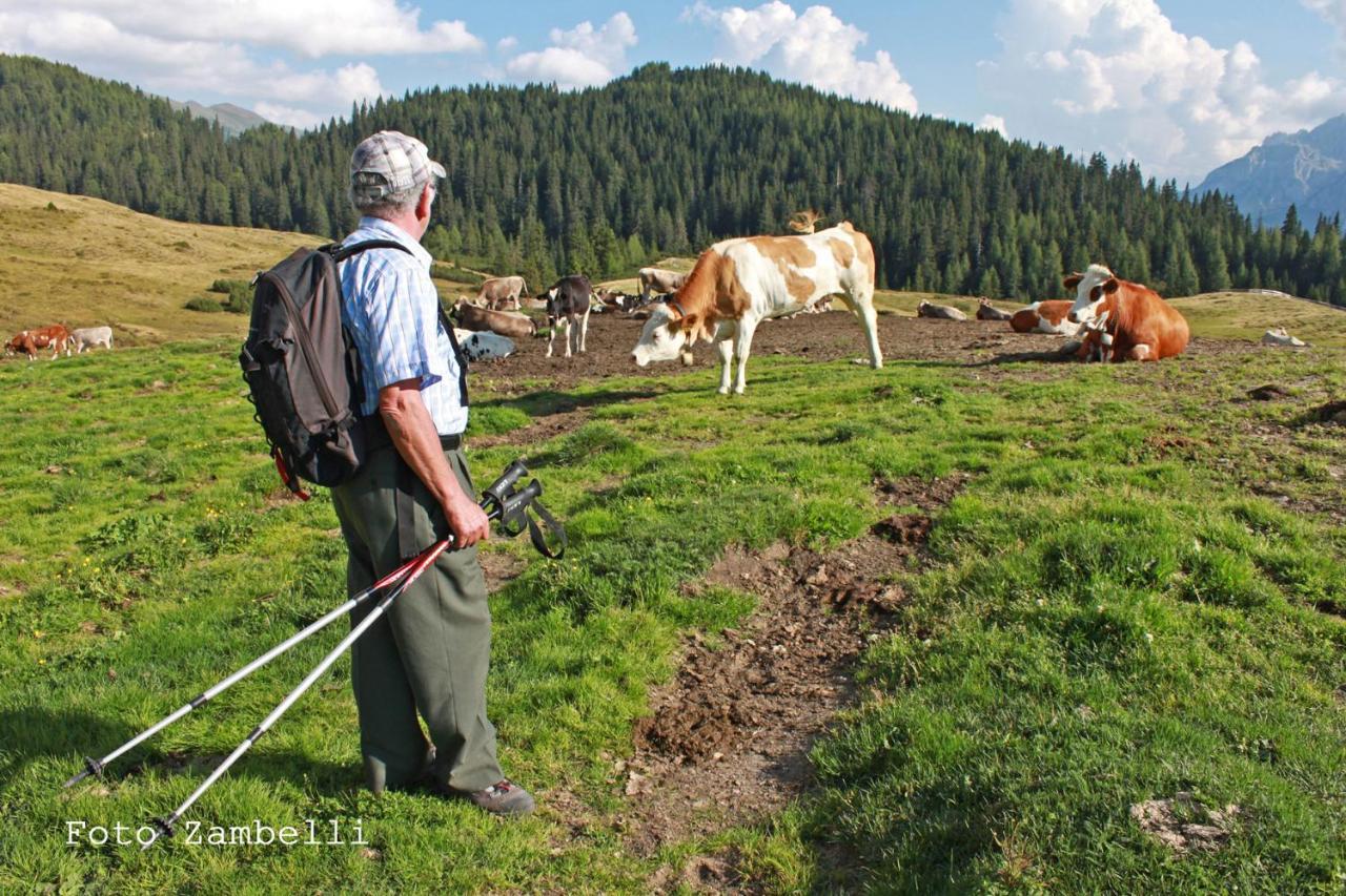 Appartamento Casa Mariani-Tortoi Candide Esterno foto